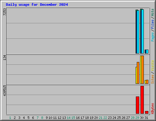 Daily usage for December 2024