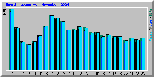 Hourly usage for November 2024