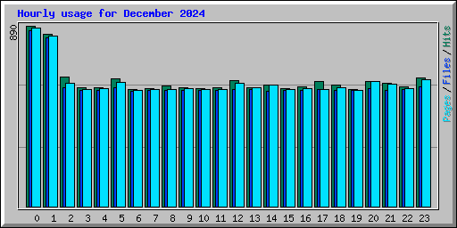 Hourly usage for December 2024