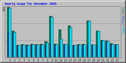 Hourly usage for December 2025