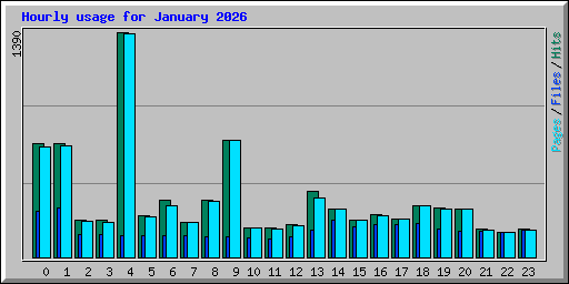 Hourly usage for January 2026